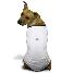 effiliate Dog T-Shirt